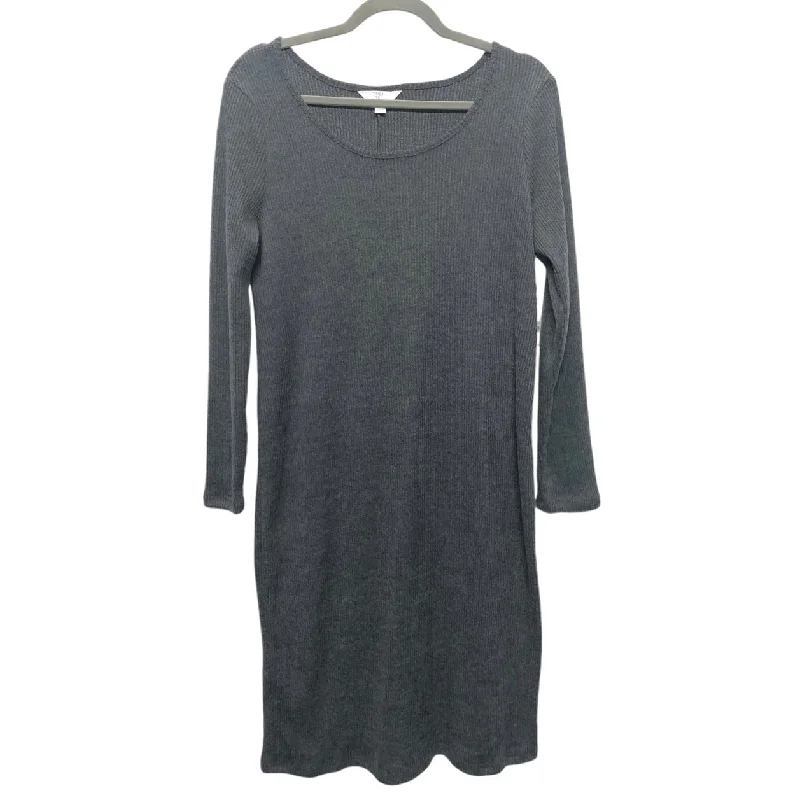 Final Clearance Dress Sweater By Time And Tru In Grey, Size: M